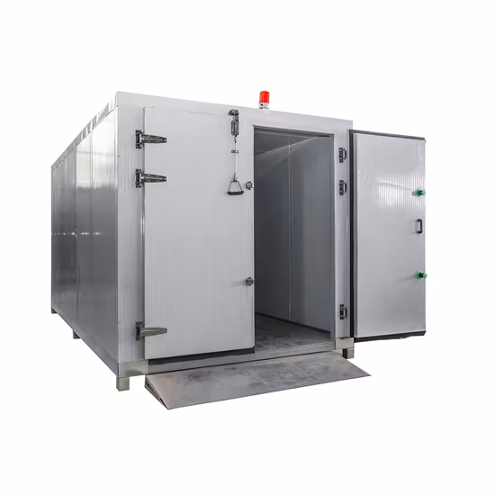 Heißluft-Edelstahl-Lebensmitteltrocknungsmaschine aus China