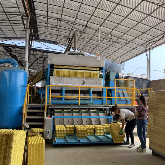 Altpapier-Eierablageformmaschine Rotations-Eierablagemaschine